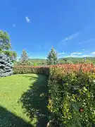 Baranya megye - Mánfa